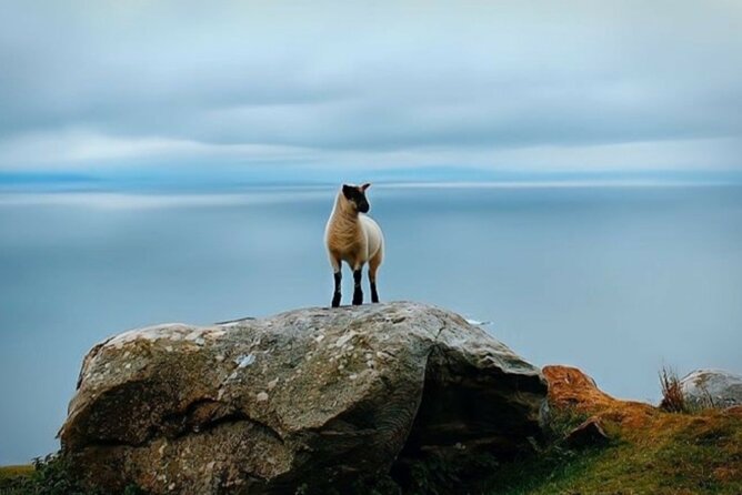 Full Day Private Tour to Ireland - Transportation Arrangements