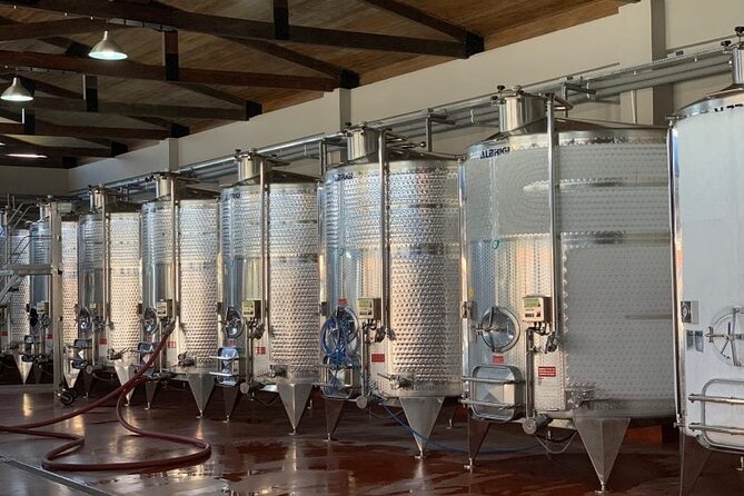 Full Day Private Wine Tasting Tour In Kakheti Region - Exploring the Wine Region