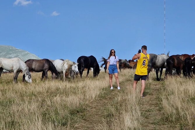 Full-Day Quad and Wild Horses Safari in Livno From Split - Participant Requirements
