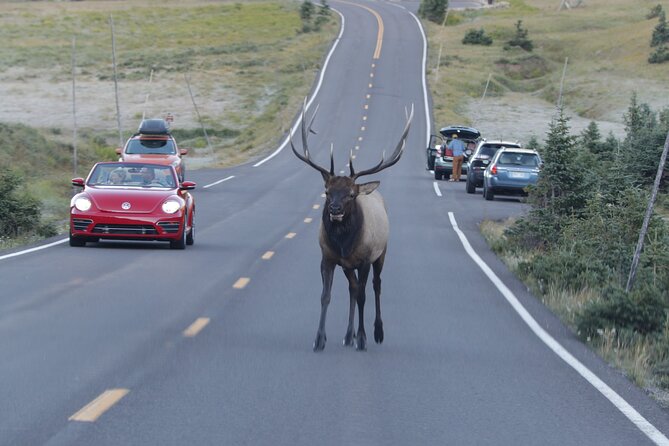 Full-Day Rocky Mountain National Park Over The Top Tour - RMNPhotographer - Traveler Experiences and Feedback
