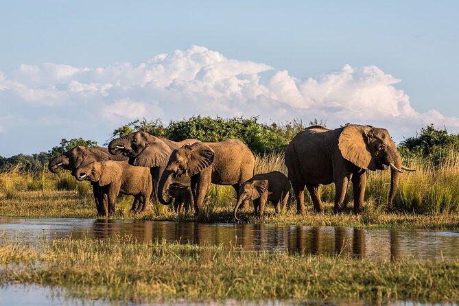 Full Day Safari From Durban to Hluhluwe-Imfolozi Game Reserve - Highlights of the Safari