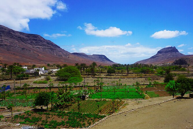 Full-Day São Vicente Island Experience With a Local Guide - Guest Experiences and Reviews