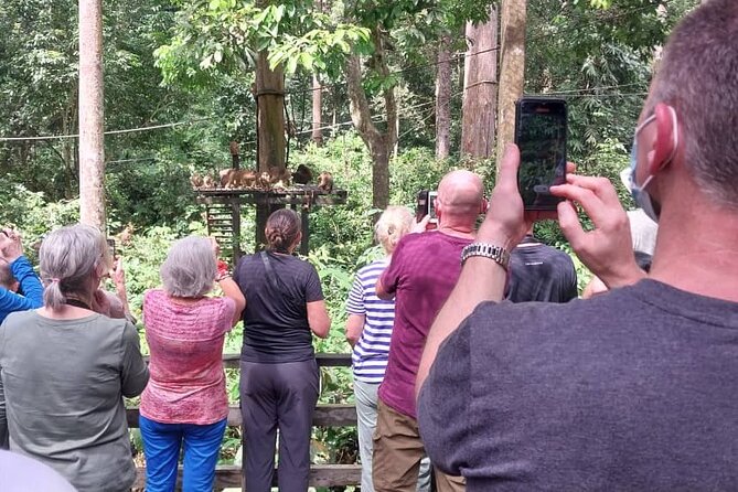 Full-Day Sepilok Orangutan and Sandakan City Trail From Kota Kinabalu - Transportation Options