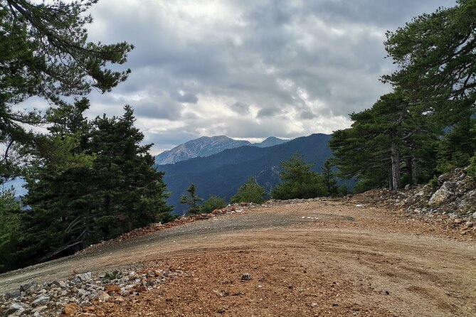 Full-Day Small-Group Hiking and Cycling Tour From Taygetos to Sparti - Exploring the Route