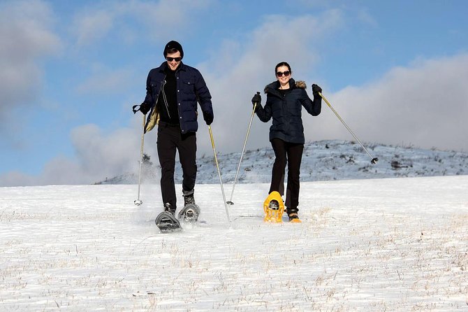 Full-Day Snowshoeing in High Tatras With Local Mountain Guide From Poprad - Included Fees and Pickup/Drop-off