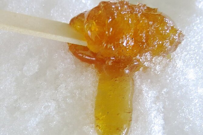 Full Day Sugar Shack Maple Syrup Tour in Trois-Rivières - Maximum Group Size