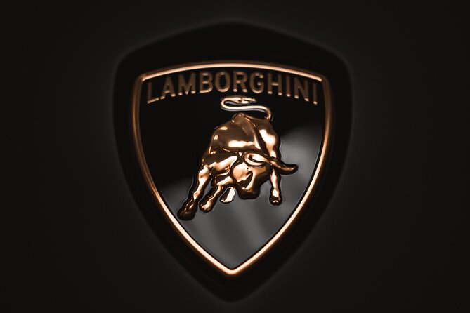 Full Day Super Cars, Parmesan, Balsamic Tour W/Light Lunch - Visits and Tastings