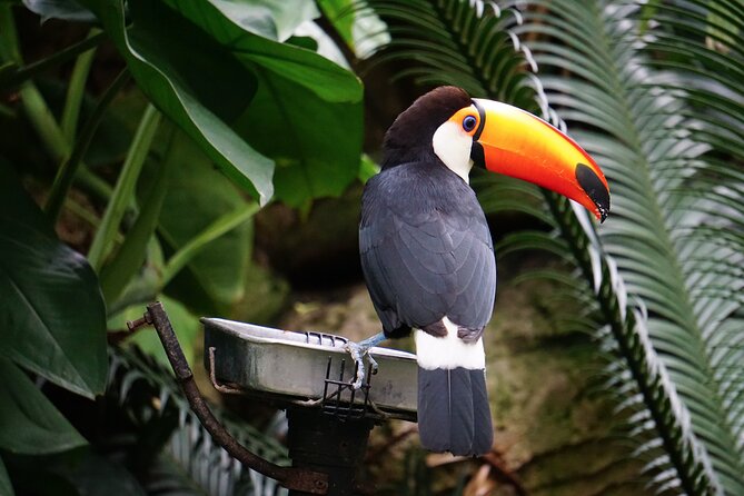 Full Day Tour Around Minca (From Tayrona Park) - Booking and Cancellation Policy