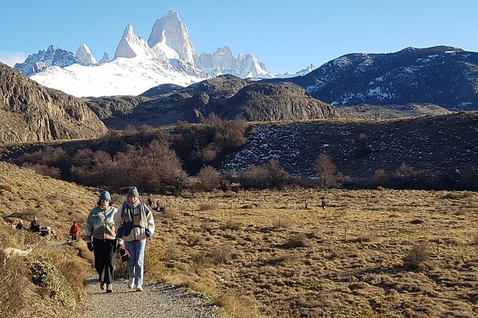 Full Day Tour in El Chalten - Positive Feedback Highlights