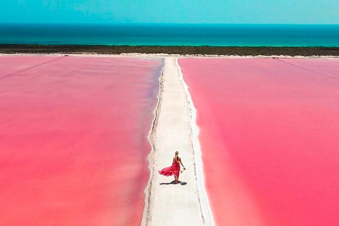 Full Day Tour in Rio Lagartos and Coloradas With Lunch - Health and Safety Information
