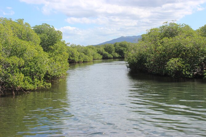 Full-Day Tour Isla Bonita Deluxe - Customer Feedback