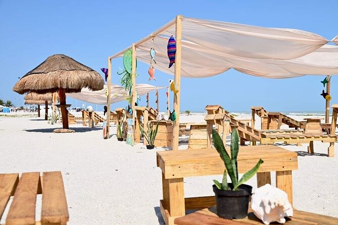 Full Day Tour of Holbox Island and Yalahau Cenote With Lunch - Pickup Information