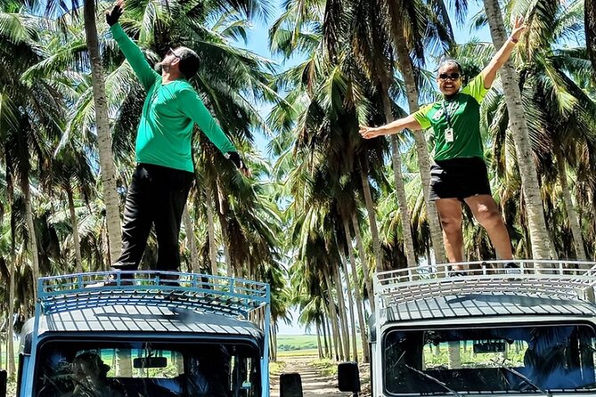 Full Day Tour on the Coqueirais Trail - Exploring the Coqueirais Trail