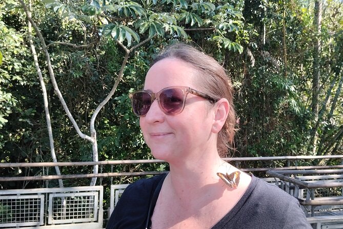 Full-Day Tour to Iguazu Falls Brazil and Argentina - Iguazu Falls on the Argentina Side