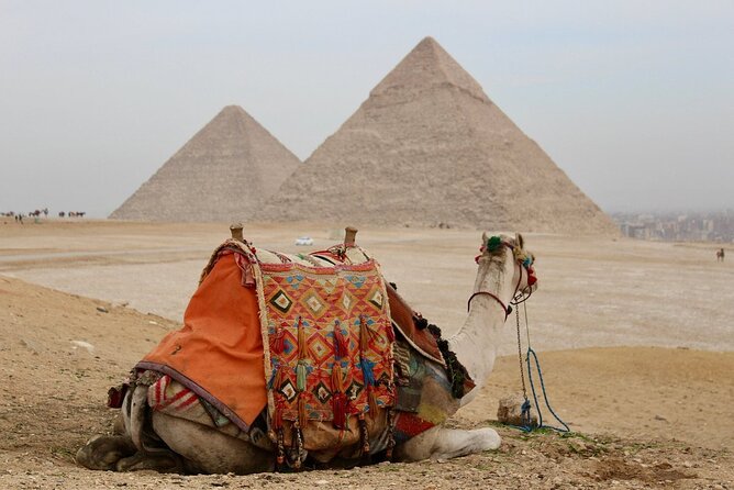 Full-Day Trip From Hurghada to Cairo - Visiting the Egyptian Museum