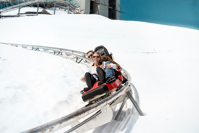 Full-Day Trip to Diablerets and Glacier 3000 From Montreux - Customer Ratings and Experiences