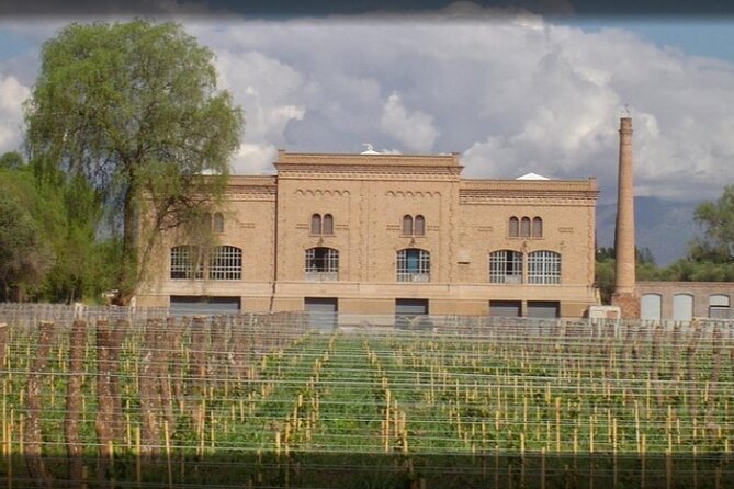 Full Day Wine Tasting Tour to Maipú From Mendoza - Itinerary and Highlights