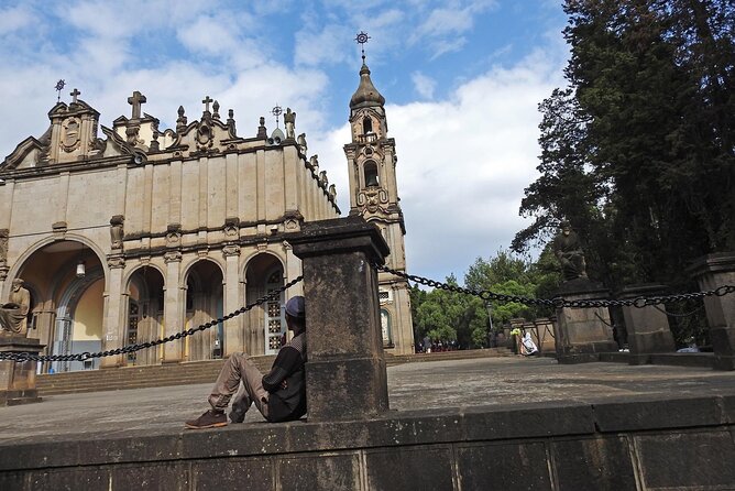 Full & Half Day City Tour Of Addis Ababa - Accessibility Features