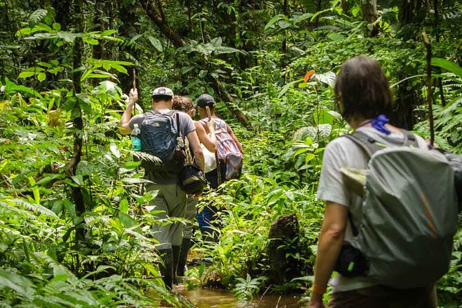 Full Jungle Experience Tour - Booking Information
