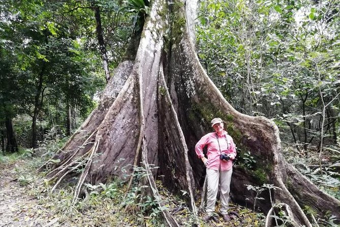 Full Nature 4 Days 3 Nights - Amazon Wonder Expeditions - Discovering the Butterfly Farm
