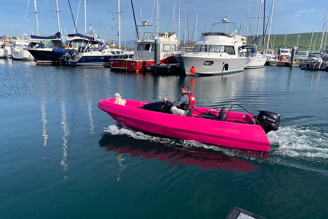 Funky Pink Self Drive Boats - Activity Highlights