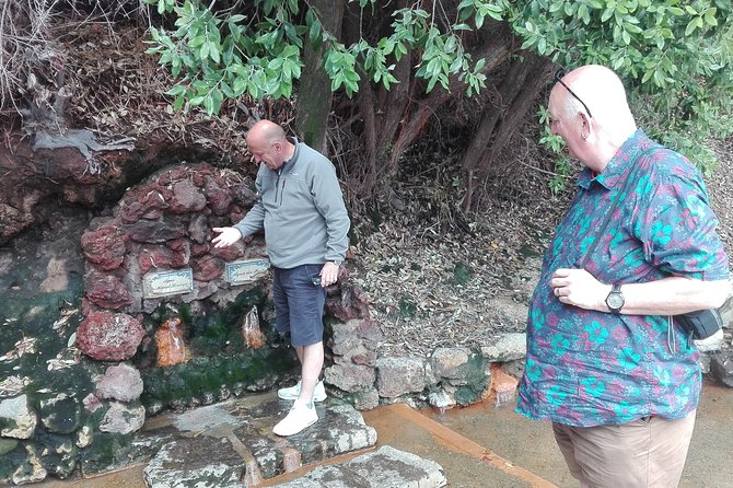 Furnas Lake Hotsprings and Gardens Van Tour - Booking Information