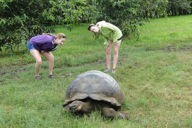 Galapagos Active Adventure Three Islands 8 Days - Cultural Immersion and Local Cuisine