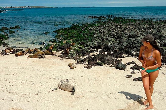 Galapagos - Exploring San Cristobal Island 4 Days - Island Excursion Highlights
