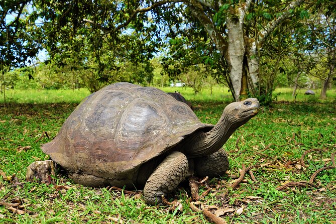 Galapagos Multisport Expedition 8 Days - Day-by-Day Itinerary