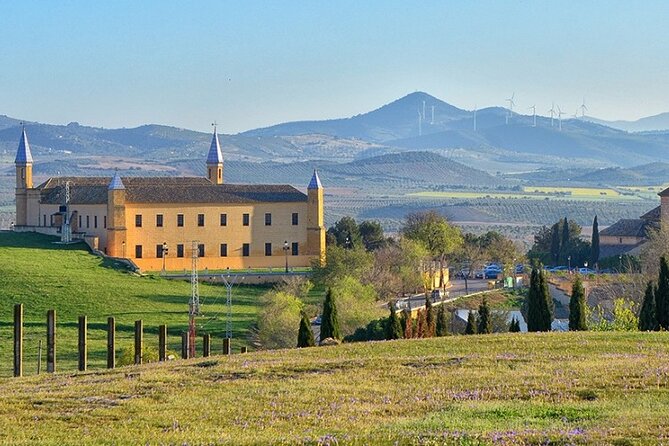 Game of Thrones Walking Tour in Seville With Optional Trip to Osuna - Customer Experiences