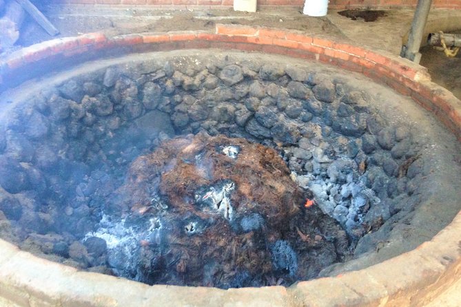 Gastronomy Experience, Culture Mezcal,Tasting & Textiles. Private Tour. - Accessibility