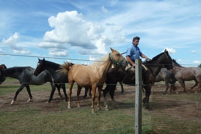 Gaucho Fiesta at the Ranch - Day Gaucho Barbecue - Transportation and Access