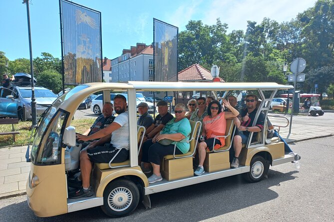Gdansk Private City Tour With Electric Cart Live Guided - Tour Accessibility and Policies