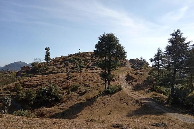 George Everest Nature Walk | Mussoorie - Tips for a Great Experience