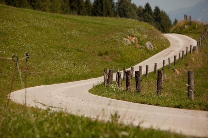 Get to Know Bled by Ultimative Bled E-Bike Tour - Ratings and Feedback