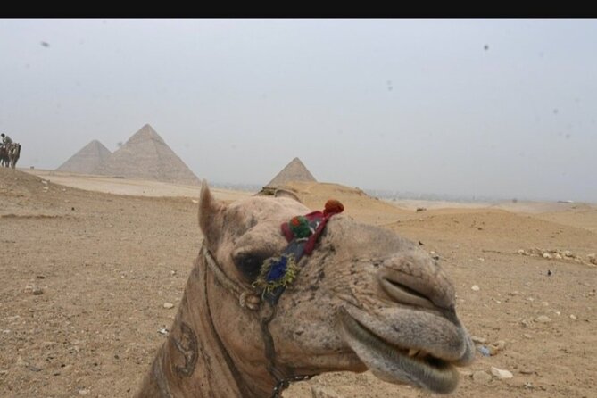 Giza Pyramids All Inclusive Lunch,Entrance Fees,30min Camel Ride - Accessibility Details