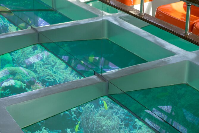 Glass-Bottom Boat 2-Hours Tour and Coral-Reef Viewing From Aqaba - What to Expect on the Tour