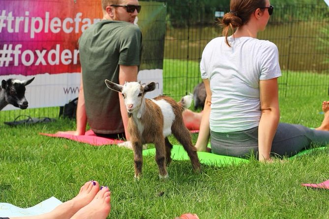 Goat Yoga and Wine Tasting - Session Information and Schedule