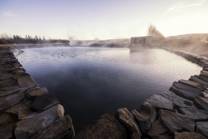 Golden Circle and the Secret Lagoon Private Tour From Reykjavik - Traveler Experience and Reviews