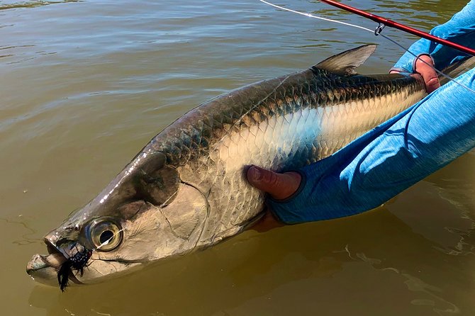 Golden Glare Fishing Charter With Experienced Captain - Participant Requirements and Accessibility