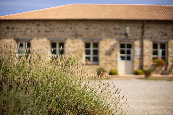 Gourmet Wine & Food Tasting - Meeting Point and Directions