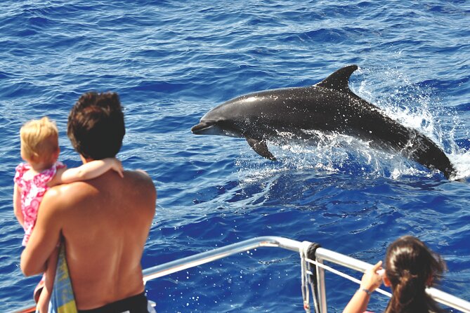 Gran Canaria Dolphin Watching Cruise - Participant Guidelines