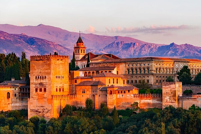 Granada : Private Custom Walking Tour With Guide (Private Tour) - Meeting Point and Pickup