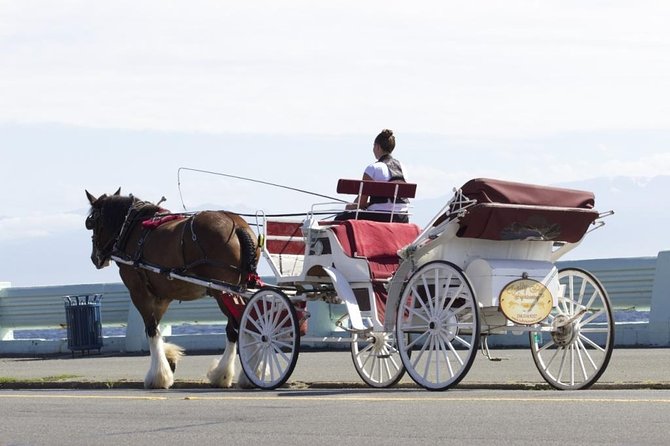 Grand Horse-Drawn Carriage Tour of Victoria - Meeting Information