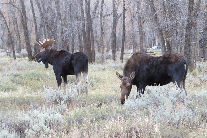 Grand Teton National Park - PRIVATE Sunrise Tour From Jackson Hole - Included Amenities