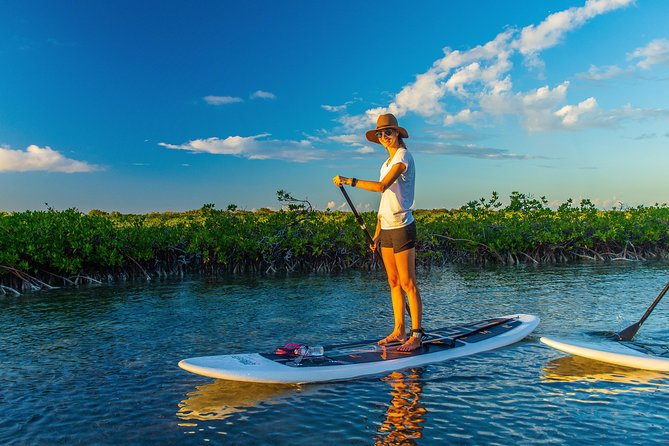 Grand Turk Exclusive Paddle Adventure - Paddle Boarding Experience