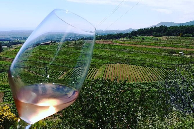 Grand Wine Tour From Catania or Taormina - Enjoying Lunch