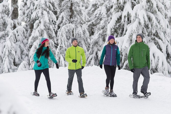 Grouse Mountain Admission Ticket - Pricing and Discounts