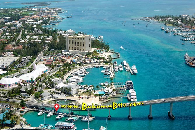 Guided 8 HR Full Day Fishing / Snorkel Private Charter Trip 40 Mega Bite - Schedule and Pricing