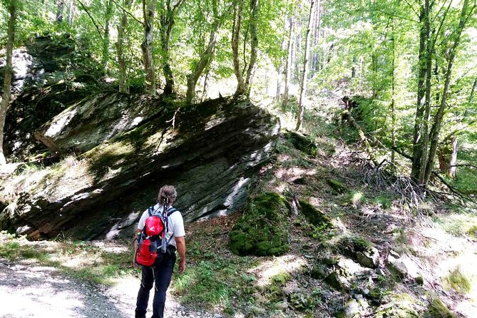 Guided Balkan Deep Forest Tour - Meeting and Pickup